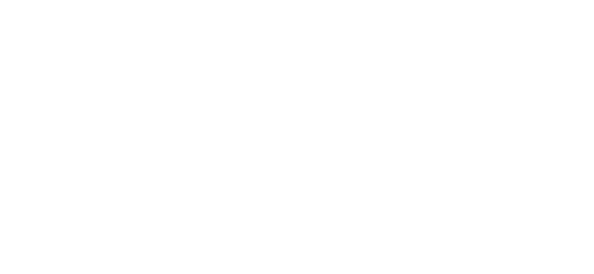 TEAM BILLABONG
